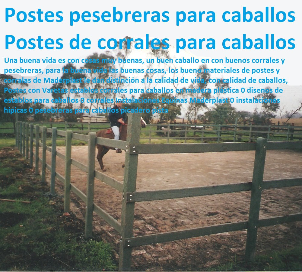 Caballerizas corrales Caballos razas finas Maderplast Pesebrera corral Establo 0 Caballerizas Plásticas Maderplast 0 Estabulación de Ganado, Pastoreo Intensivo, Establos, Corrales, Saladeros, Comederos, Cerramientos, Postes, Ganaderías Tecnificadas, Ganaderías Tecnificadas, Explotación Ganadera Automatizada, Sistemas de Pastoreo, Pesebreras Plásticas Maderplast 0 Establo Plásticos Maderplast 0 ¿Cuál Es la Medida Ideal en una Caballeriza fina Caballerizas corrales Caballos razas finas Maderplast Pesebrera corral Establo 0 Caballerizas Plásticas Maderplast 0 Pesebreras Plásticas Maderplast 0 Establo Plásticos Maderplast 0 ¿Cuál Es la Medida Ideal en una Caballeriza fina